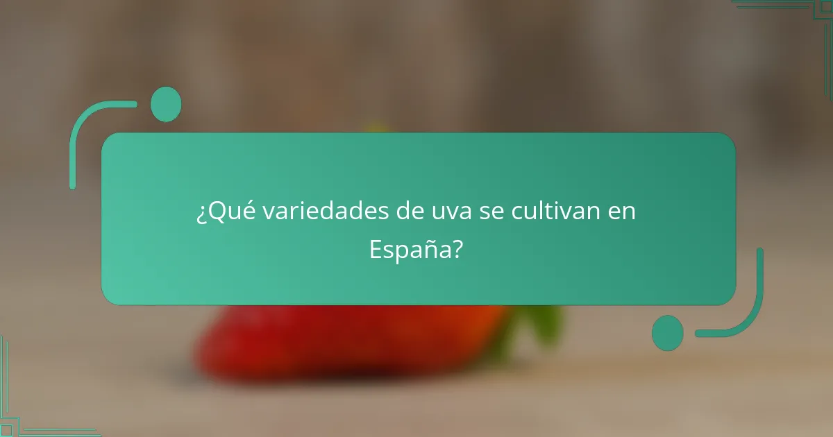 ¿Qué variedades de uva se cultivan en España?